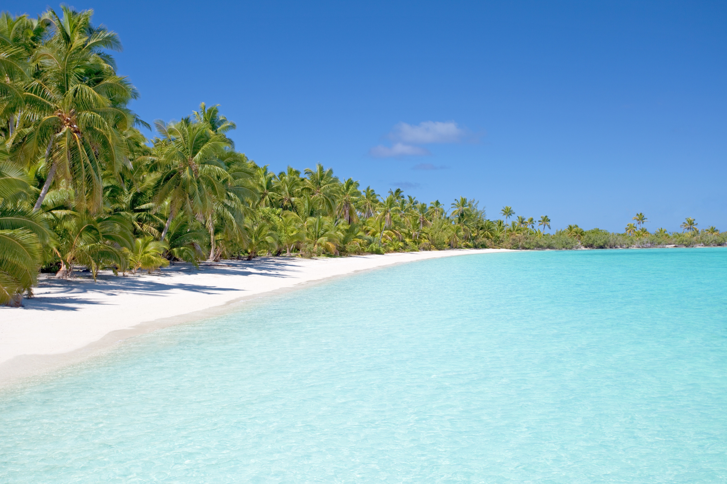 lata, nendo island (3).webp